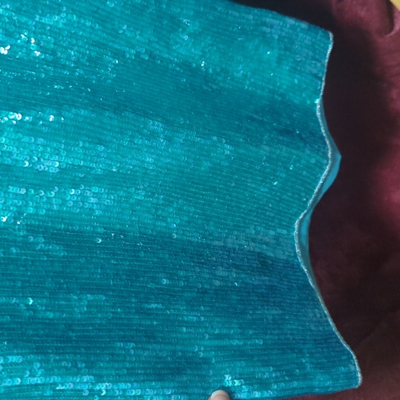 Beautiful Escada Couture Ombre Sequin Wide Leg Pants Beaded See PatBo - Picture 5 of 11